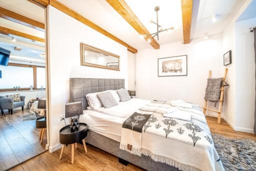 Apartament Kamieniec ザコパネ エクステリア 写真